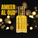 ameer